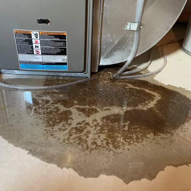 Appliance Leak Cleanup in English, IN