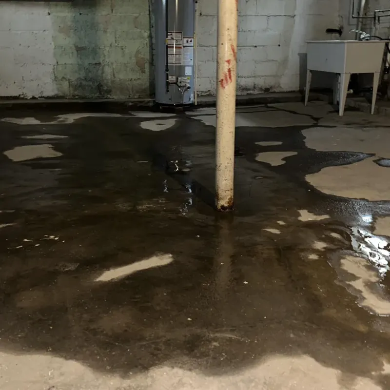 Emergency Water Extraction And Removal in English, IN
